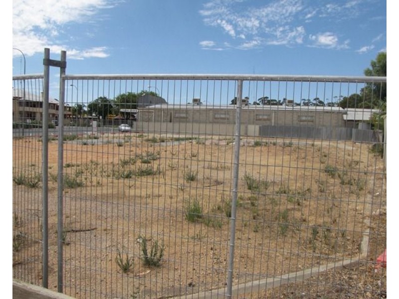 44 Barwell Avenue, Barmera SA 5345