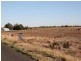 Lot 8 Drummond Avenue, Loxton SA 5333
