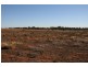 Lot 8 Drummond Avenue, Loxton SA 5333