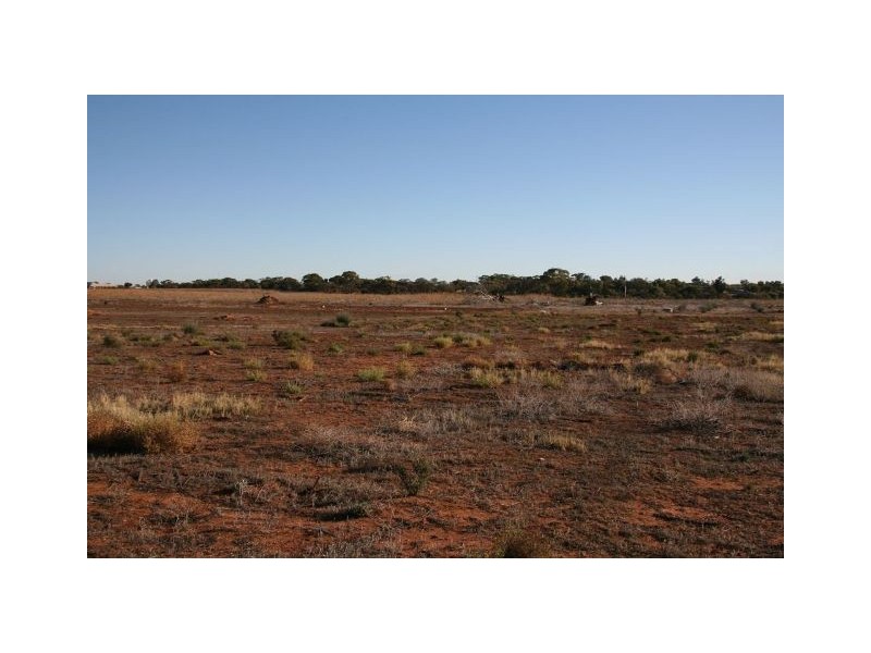 Lot 8 Drummond Avenue, Loxton SA 5333