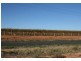 Lot 8 Drummond Avenue, Loxton SA 5333