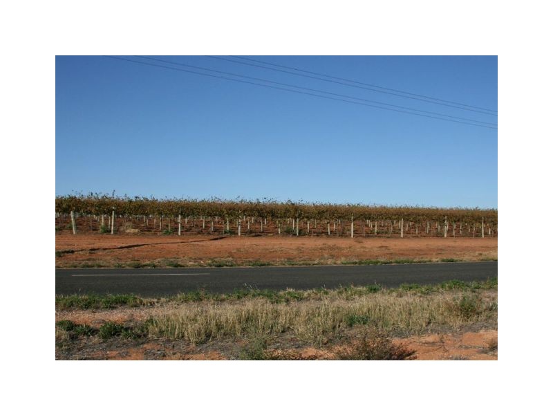 Lot 8 Drummond Avenue, Loxton SA 5333