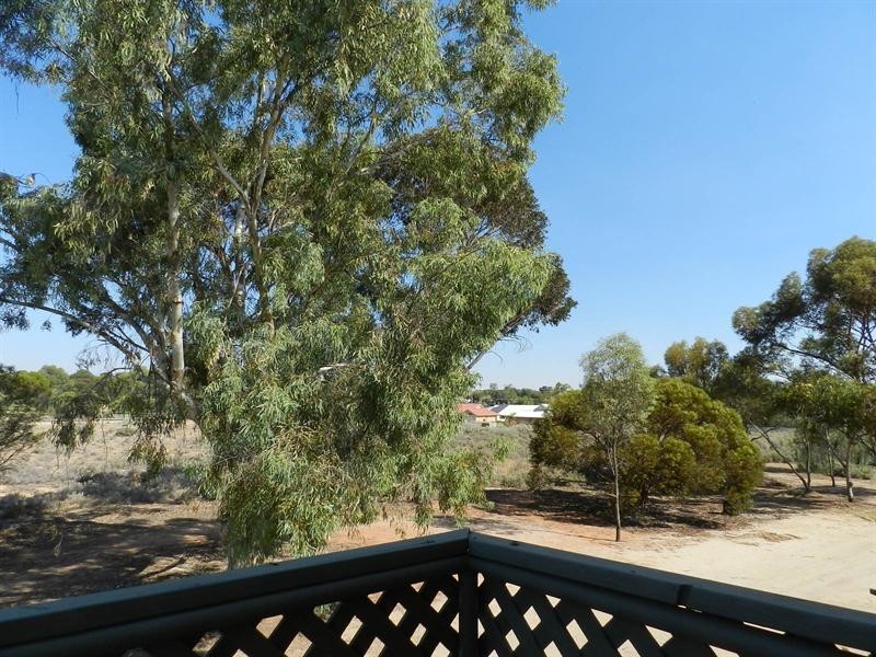 9 Cocksedge Road, Barmera SA 5345