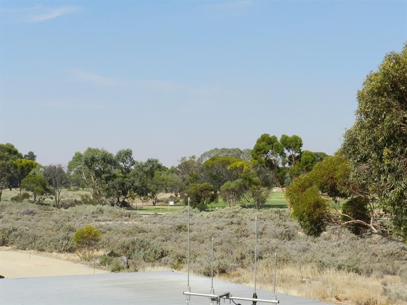 9 Cocksedge Road, Barmera SA 5345