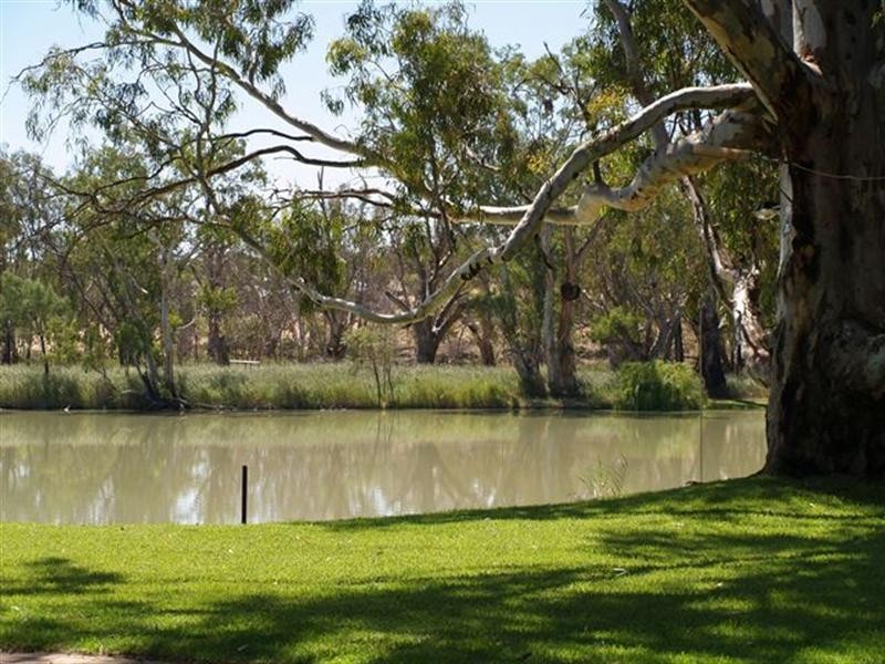 Lot 160 Scotts Creek, Morgan SA 5320