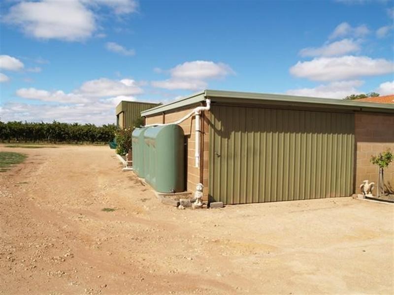 178 Hardy Road, Waikerie SA 5330