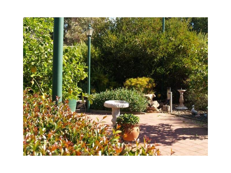 3 Sixth Street, Morgan SA 5320