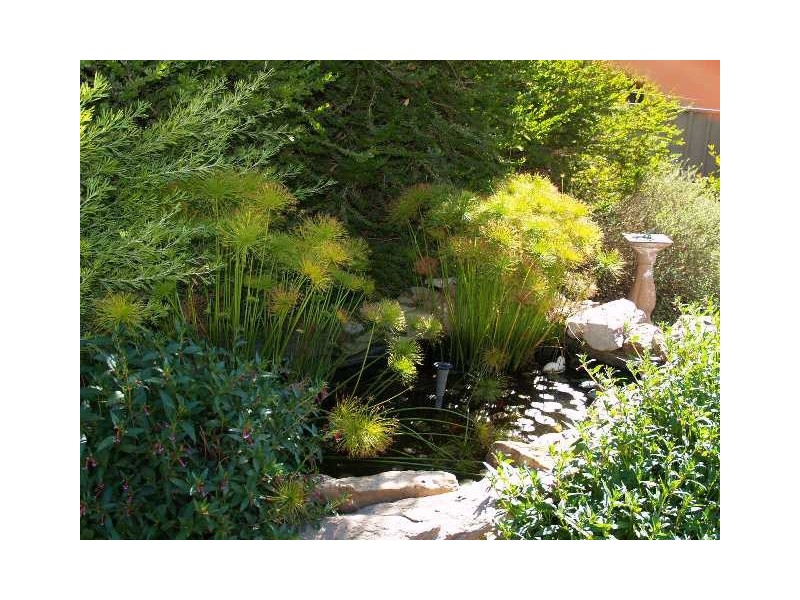 3 Sixth Street, Morgan SA 5320