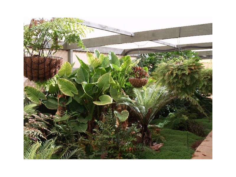 3 Sixth Street, Morgan SA 5320