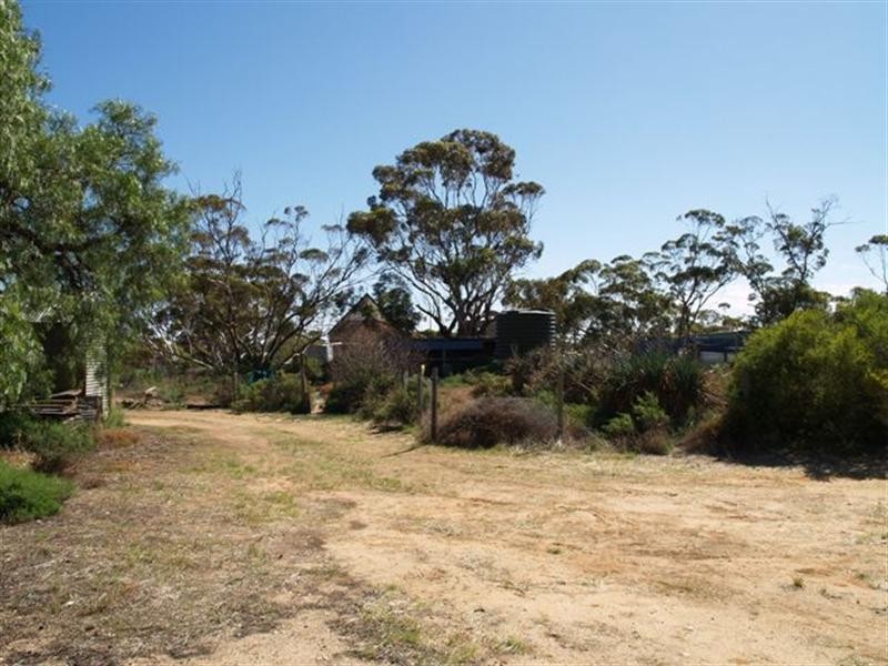 5 Ogilvie Terrace, Galga SA 5308