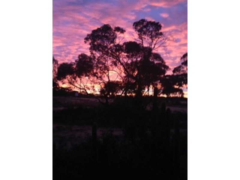 5 Ogilvie Terrace, Galga SA 5308