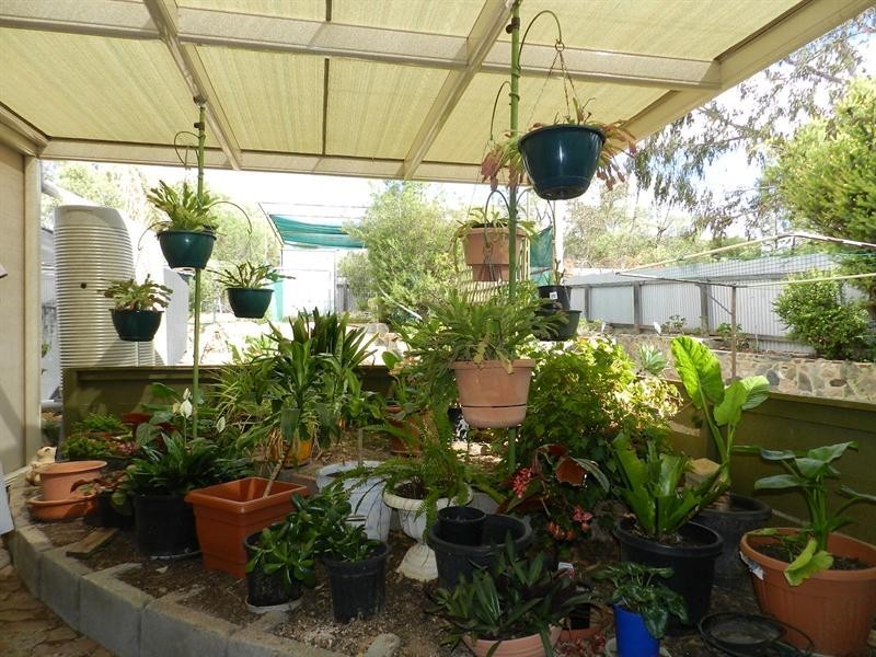 10 Kaesler Street, Loxton SA 5333