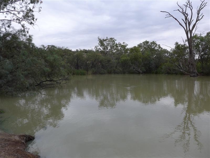 40 Kemp Road, Berri SA 5343