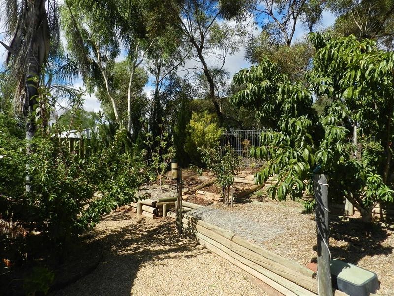 40 Derrick Street, Berri SA 5343