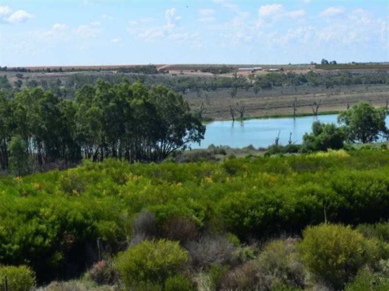 Lot 1 Ramco Road, Waikerie SA 5330