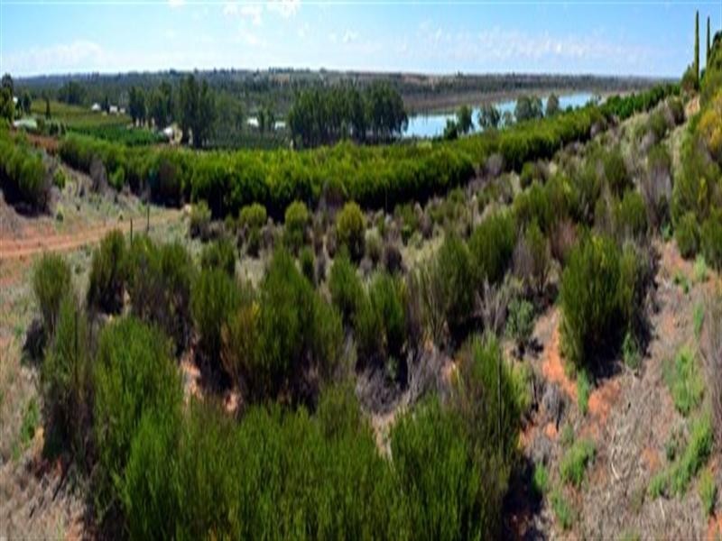 Lot 1 Ramco Road, Waikerie SA 5330