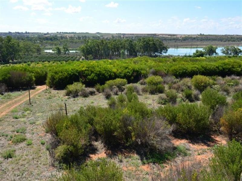 Lot 1 Ramco Road, Waikerie SA 5330