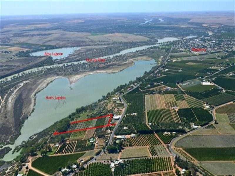 Lot 1 Ramco Road, Waikerie SA 5330