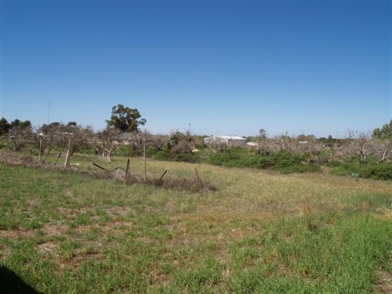 28 Armstrong Road, Waikerie SA 5330