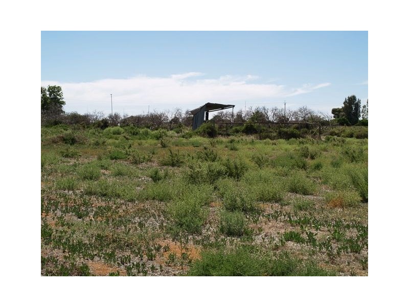 Sec 260 Checker Road, Waikerie SA 5330