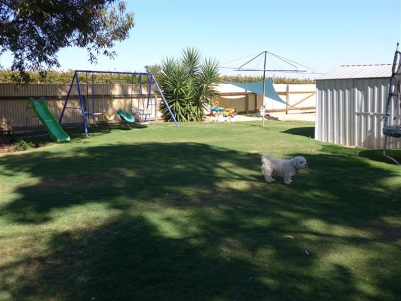 6 Timor Street, Loxton SA 5333