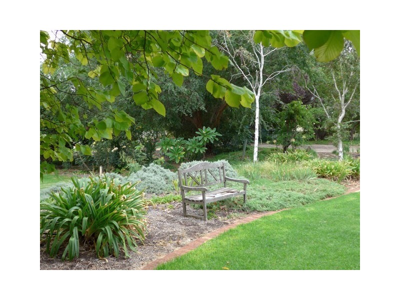 40 Kemp Road, Berri SA 5343