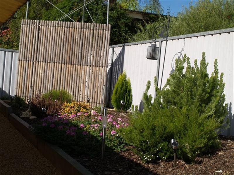 25A Harden Street, Waikerie SA 5330