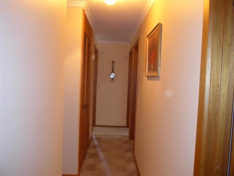 16 Bruce Road, Barmera SA 5345