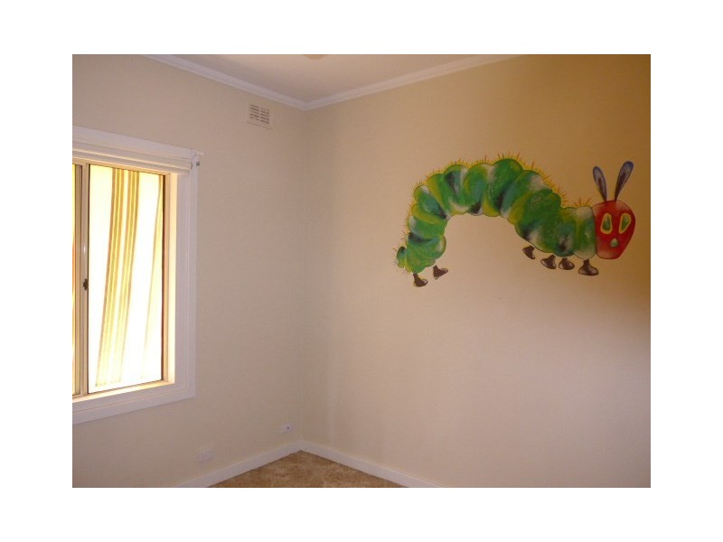 44 Zante Road, Berri SA 5343