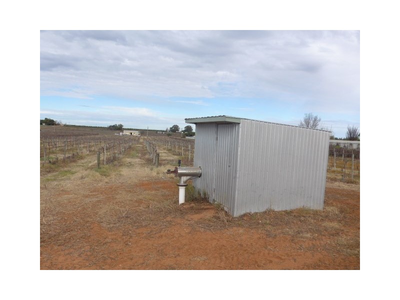 885 Old Sturt Highway, Berri SA 5343