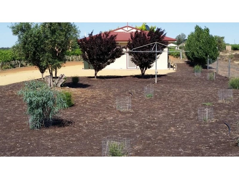 885 Old Sturt Highway, Berri SA 5343