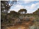 Sec 194 Promnitz Road, Morgan SA 5320