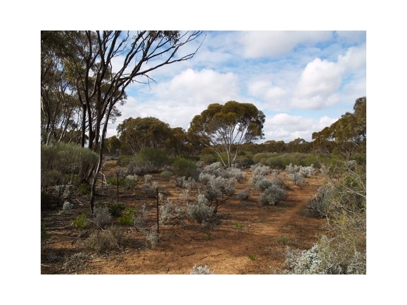 Sec 194 Promnitz Road, Morgan SA 5320