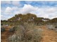 Sec 194 Promnitz Road, Morgan SA 5320