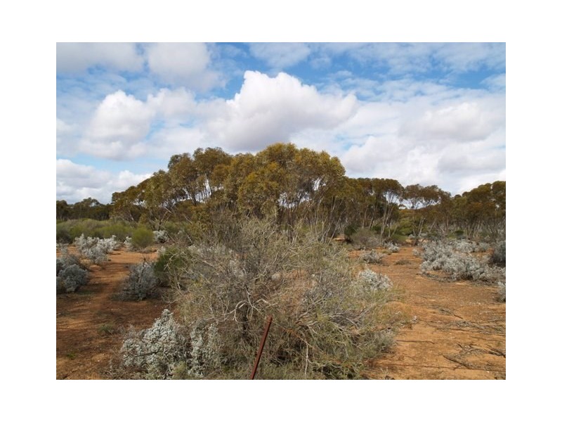 Sec 194 Promnitz Road, Morgan SA 5320