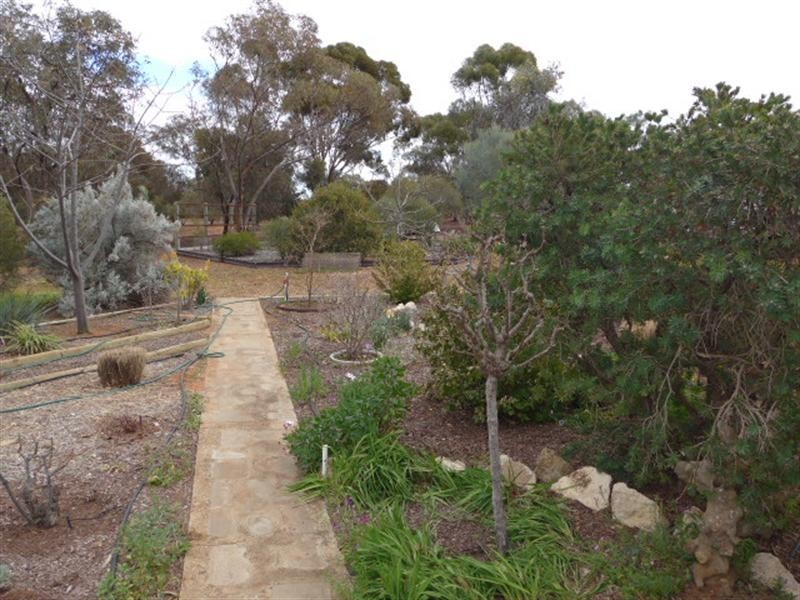 129 McKenzie Road, Barmera SA 5345