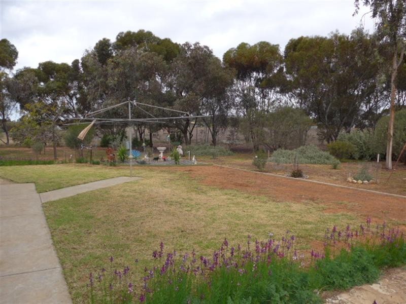 129 McKenzie Road, Barmera SA 5345