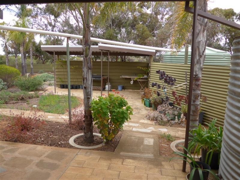 129 McKenzie Road, Barmera SA 5345