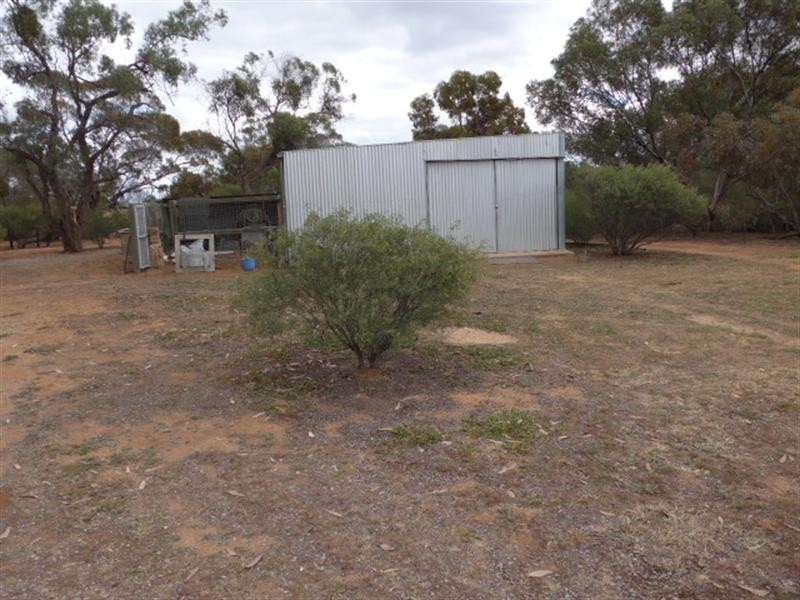 129 McKenzie Road, Barmera SA 5345