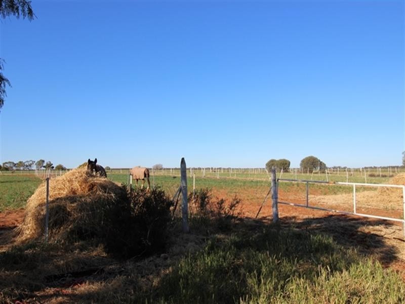 400 Murrayview Road, Waikerie SA 5330