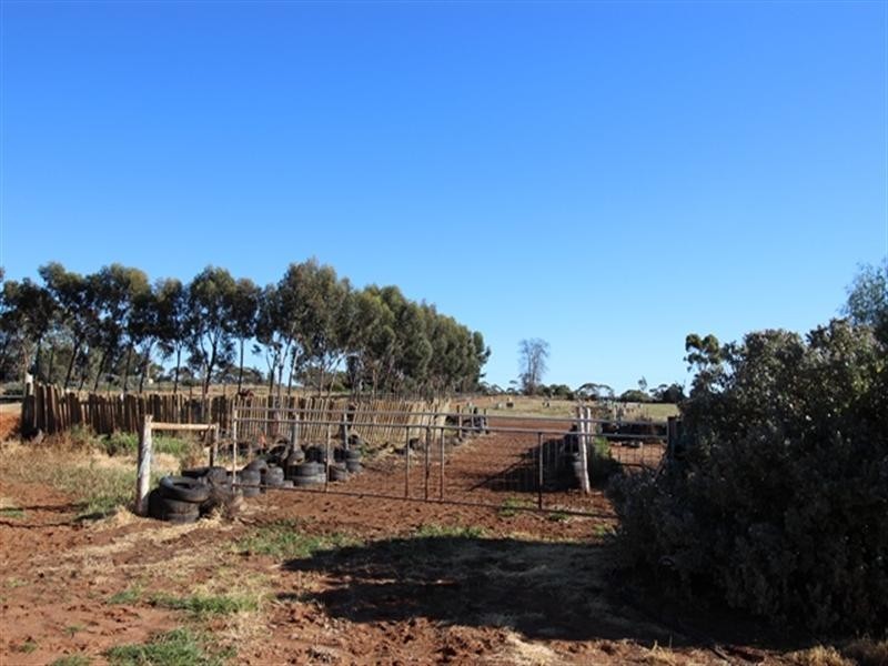 400 Murrayview Road, Waikerie SA 5330