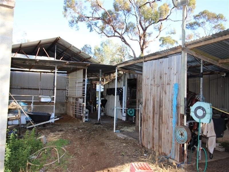 400 Murrayview Road, Waikerie SA 5330