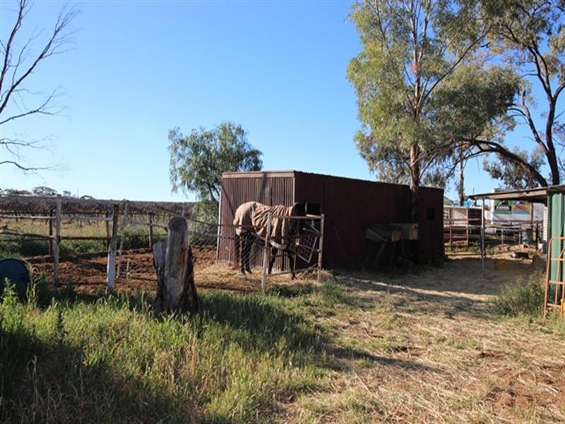 400 Murrayview Road, Waikerie SA 5330