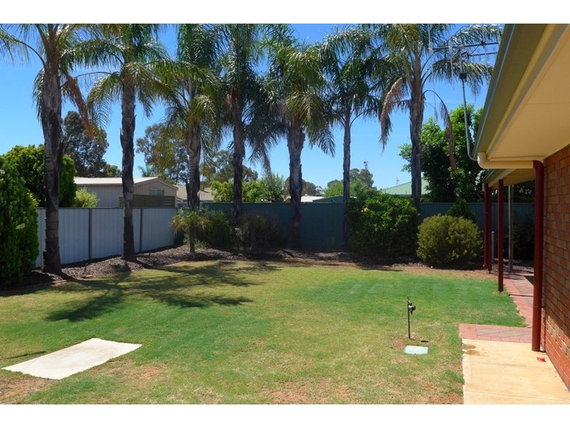 9 Rosenthal Drive, Berri SA 5343