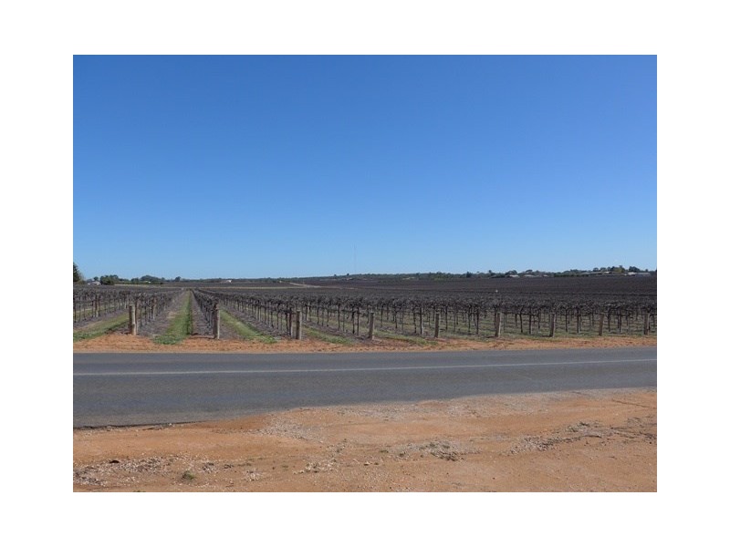 67 Lobban Road, Monash SA 5342