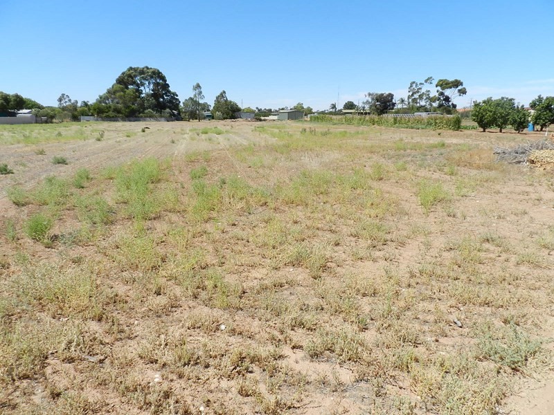 12 Rupert Court, Lyrup SA 5343