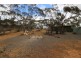 476 Promnitz Road, Morgan SA 5320