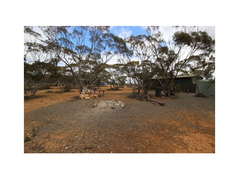 476 Promnitz Road, Morgan SA 5320