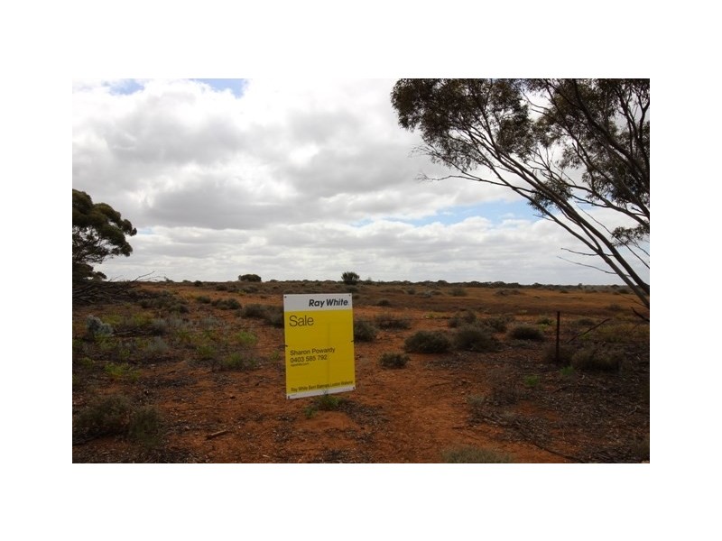 476 Promnitz Road, Morgan SA 5320