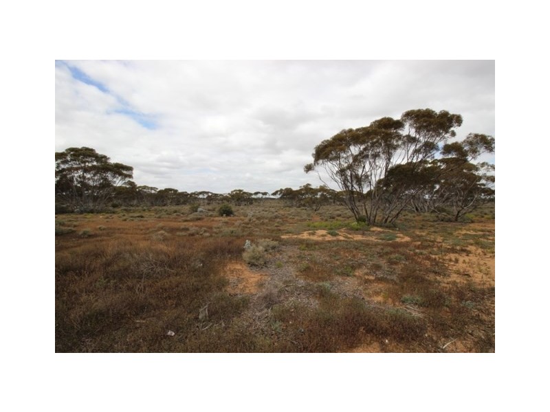 476 Promnitz Road, Morgan SA 5320